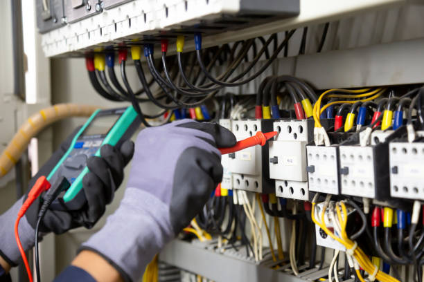 Best Surge Protection Installation  in Pahoa, HI